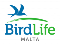 Logo BirdLife Malte